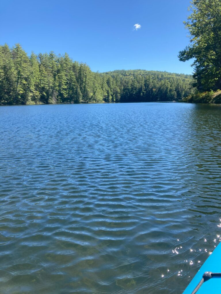 Total Concept Property Management & Maintenance